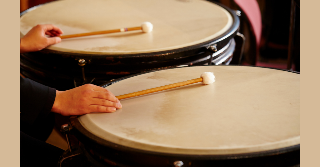 family of percussion instruments