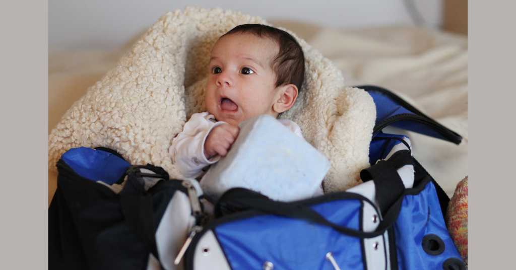 Baby in a travel bag
