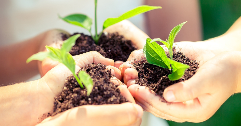 kids holding small saplings in hand