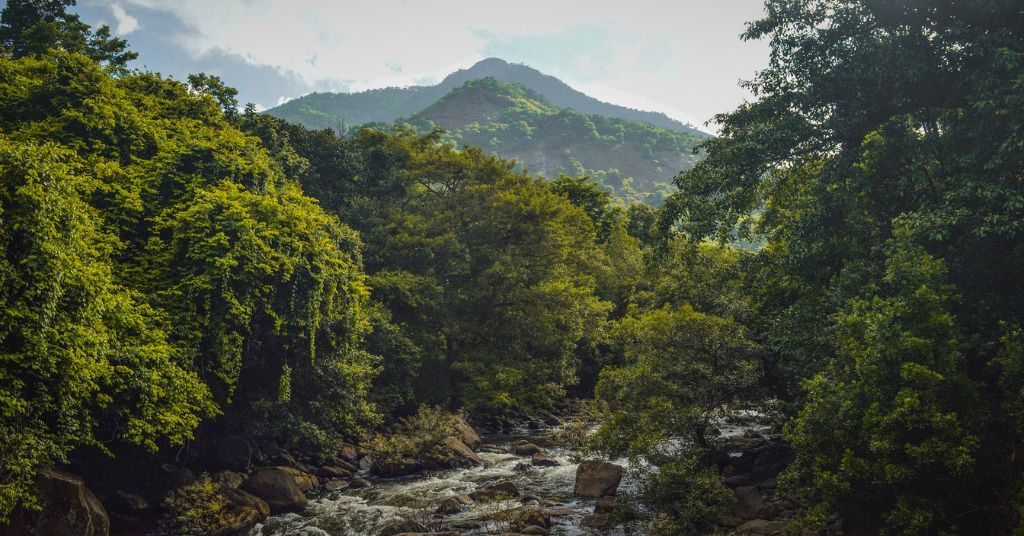 Wayanad, Kerala
