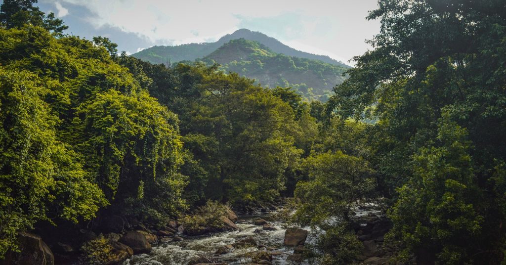  Wayanad, Kerala