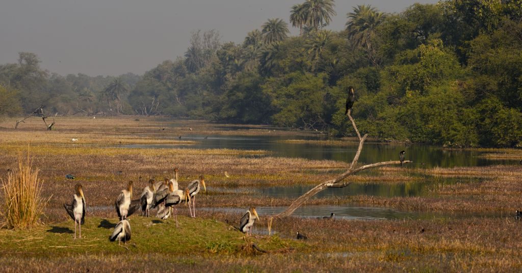 Bharatpur, Rajasthan