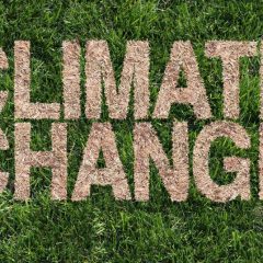 What Is Climate Change? - Causes, Effects And More