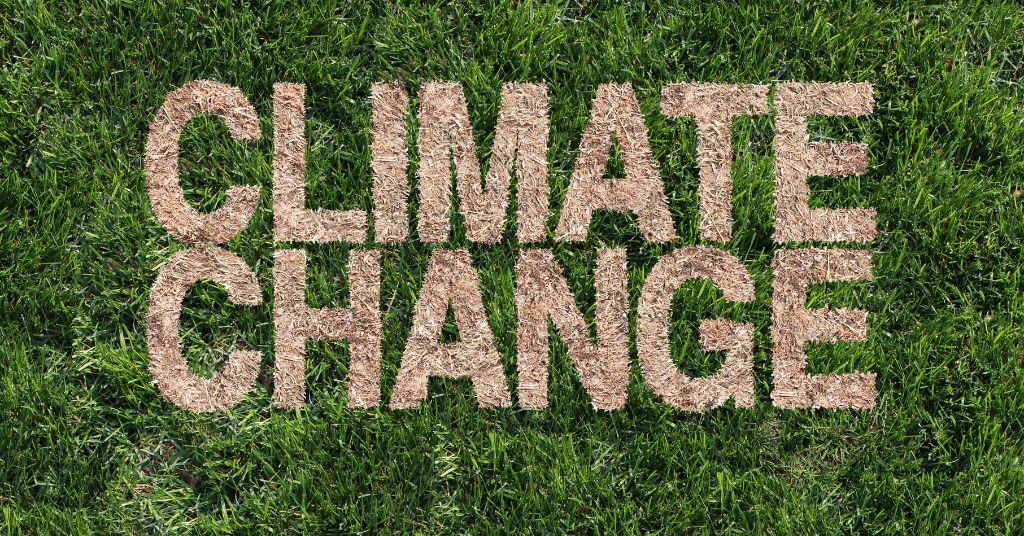 What Is Climate Change? - Causes, Effects And More